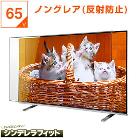 【5%OFFクーポン★6月20日2時迄】 有機EL 液晶テレビ保護パネル 65インチ 65型 オーダーメイド ノングレア 非光沢 反射防止 テレビガード テレビカバー テレビ 保護パネル 画面 保護フィルム ガード カバー 赤ちゃん 子供 国産 アクリル