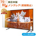 【ポイント10倍★ほこり防止剤付き】【純国産&ピッタリ仕上げ】 有機EL 液晶テレビ保護パネル 75インチ 75型 77インチ…