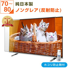 【限定クーポン★ほこり防止剤付き】 純国産 有機EL 液晶テレビ保護パネル 75インチ 75型 77インチ 77型 70 80 オーダーメイド ノングレア 非光沢 反射防止 テレビガード テレビカバー 保護パネル 画面 保護フィルム ガード カバー 赤ちゃん 子供
