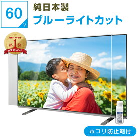 【8%OFFクーポン★ほこり防止剤付き】【純国産&ピッタリ仕上げ】 有機EL 液晶テレビ保護パネル 60インチ 60型 ブルーライトカット 透明度93% テレビガード テレビカバー 画面 保護 パネル 傷 破損 防止 保護フィルム 赤ちゃん 子供