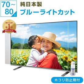 【8%OFFクーポン★ほこり防止剤付き】【純国産&ピッタリ仕上げ】 有機EL 液晶テレビ保護パネル 75インチ 75型 77インチ 77型 70 80 ブルーライトカット 透明度93% テレビガード テレビカバー 画面 保護 パネル 傷 破損 防止 保護フィルム 赤ちゃん 子供