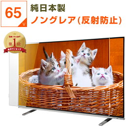 【12%OFFクーポン★純国産ピッタリ仕上げ】 有機EL 液晶テレビ保護パネル 65インチ 65型 ノングレア 非光沢 反射防止 テレビガード テレビカバー 液晶保護パネル テレビ画面カバー テレビ 画面 保護 保護フィルム 赤ちゃん 子供