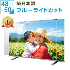 【12%OFFクーポン★純国産ピッタリ仕上げ】 有機EL 液晶テレビ保護パネル 50インチ 50型 48インチ 48型 49インチ 49型 ブルーライトカット テレビガード テレビカバー 液晶保護パネル テレビ画面カバー テレビ 画面 保護 保護フィルム 赤ちゃん 子供