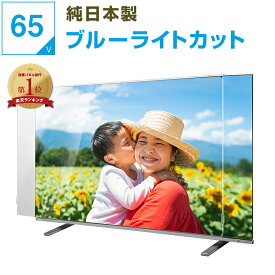 ※3mm厚は6/10日以降に順次出荷※【12%OFFクーポン★純国産ピッタリ仕上げ】 有機EL 液晶テレビ保護パネル 65インチ 65型 ブルーライトカット テレビガード テレビカバー 液晶保護パネル テレビ画面カバー テレビ 画面 保護 保護フィルム 赤ちゃん 子供