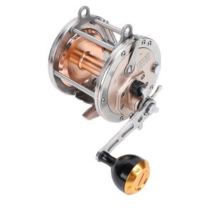 XsjO[ A~t[ XeX[^[ E葀 CΉ S[h ubN y ϋv 炩 Sn hK hg ނ T[t AW To CV  ދ 