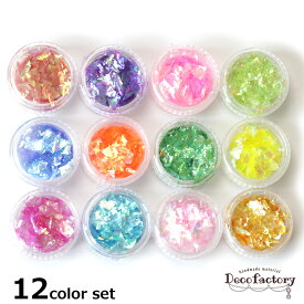 【封入 ホログラム】 12色セット ケース付き 乱切りホログラム オーロラフィルム アクセサリー 手芸 アクセサリーパーツ ハンドメイド 材料 ジェル ネイル パーツ レジン 埋め込み【12/22】
