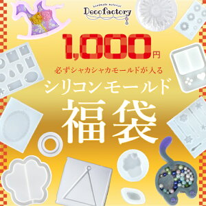 yʌ ܁z VR[h C10 p[ tBV[gt W ANZT[ Wt | ANZT[p[c nhCh ޗ y VJVJ W