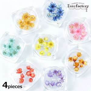 yhCt[z 4Zbg hCt[ A\[g WANZT[ | ANZT[p[c nhCh ޗ  n[oE  t[ Jt