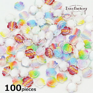 yCOqɔz100@fRp[c@KN@