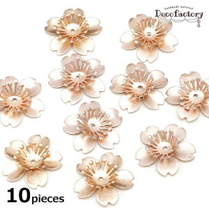 yCOqɔz10  r[YLbv  ԍ