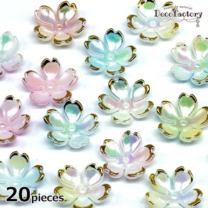 yCOqɔz20@Ԃ̃r[Y@@@