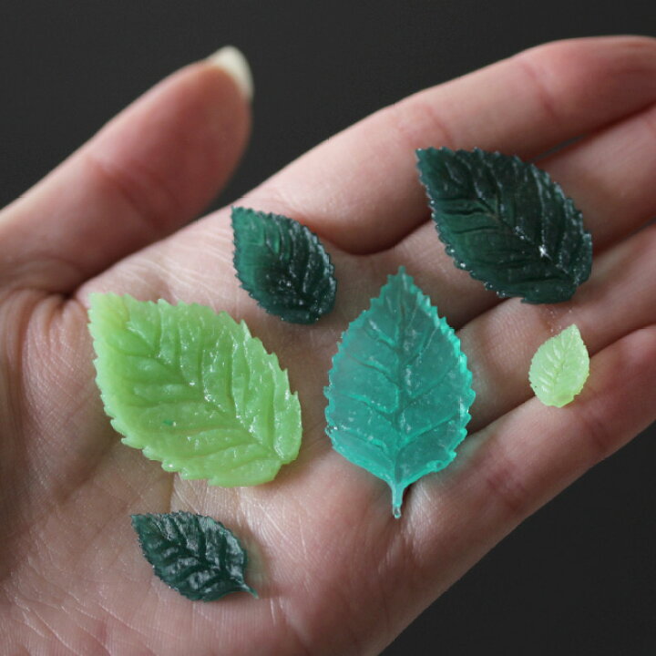 楽天市場 シリコン モールド 1個 色んな葉っぱがつくれる シリコンモールド アクセサリー 手芸 パーツ アクセサリーパーツ 土台 シリコン型 レジン ハンドメイド 材料 樹脂粘土 リーフ はっぱ ハンドメイド素材のdecofactory