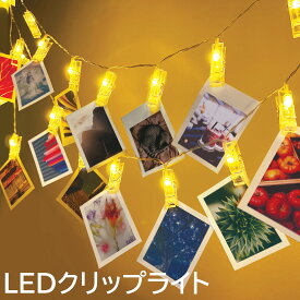 LEDクリップライト イルミネーションライト 写真クリップ DIY インテリア 壁飾り USB 電池式 ワイヤーライト クリスマス 結婚式 パーティー ピン ピンチ Clothespin