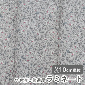 10/2 08:59܂Łn z w k ~l[gn/106cm  EBfBK[f  y10cmPʔ̔zy̎qzyԁzykzyre[WzyO[zyVo[zԕ ԕ 