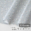 ▼▼▼▼▼【在庫限りOUTLET】生地 布 入園入学 北欧風 ラミネート生地/幅105cm ≪ ダンスト ≫ 【10cm単位販売】【女の子】【花】【ナチュラル】【ガーリー】【グレー】小花柄 デイジー おしゃれ かわいい デコレクションズオリジナル 韓国 ビニールコーティング