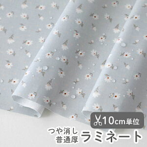 y݌ɌOUTLETzn z w k ~l[gn/105cm  _Xg  y10cmPʔ̔zy̎qzyԁzyi`zyK[[zyO[zԕ fCW[ 