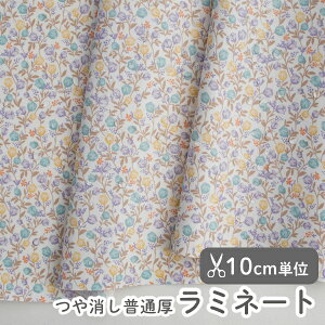 n z w k ~l[gn/105cm  \m[X  y10cmPʔ̔zy̎qzyԁzyi`zyx[VbNzyzԕ ԕ oeB  킢 