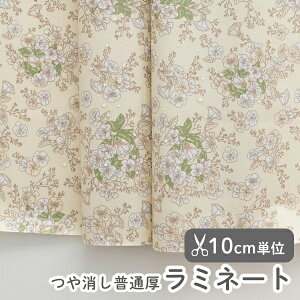 y݌ɌOUTLETzn z w k ~l[gn/106cm  zCgK[f  y10cmPʔ̔zy̎qzyԁzykzyx[VbNzyAC{[zԕ 