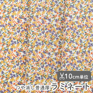y݌ɌOUTLETzn z w k ~l[gn/104cm  t[Gg[  y10cmPʔ̔zy̎qzyԁzykzy_zyIWzyzԕ ԕ