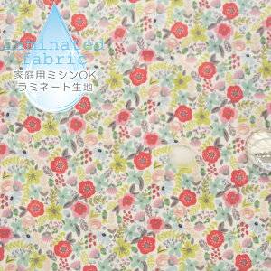 10/2 08:59܂Łn z w k ~l[gn/100cm  A[OCt[  肴TTE y10cmPʔ̔zycΉzy̎qzyԁzyi`