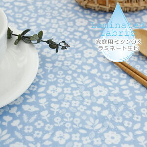 n z w k ~l[gn/100cm  Good windy day  肴TTE y10cmPʔ̔zycΉzy̎qzyԁzyi`zyK[[zyFzL