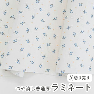 10/2 08:59܂Łn z w k ~l[gn/104cm  Organic - u[t[  y10cmPʔ̔zy̎qzyԁzyi`zyzI[KjbNRbg  킢