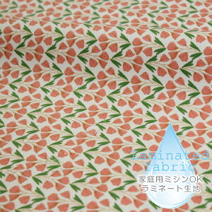 10/31 08:59܂Łn z w k ~l[gn/106cm  \jA  肴TTE/RۖhLH y10cmPʔ̔zycΉzy̎qzykzyԁzyx