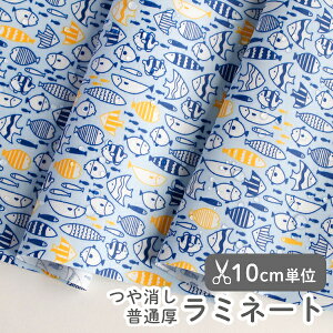 y݌ɌOUTLETzn z w k ~l[gn/103cm  Xm[PO - Xm[PO  y10cmPʔ̔zyj̎qzy̎qzyzyFz C  킢