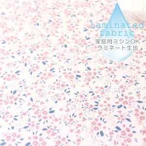 n z w k ~l[gn/103cm  Charming - sweet pond  肴TTE y10cmPʔ̔zycΉzy̎qzyԁzyi`zysNzԕ 
