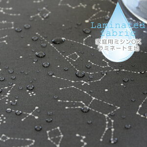 n z w k ~l[gn/100cm  Constellation  肴TTE y10cmPʔ̔zycΉzyj̎qzy̎qzyzyzyzmg[ ؍ 