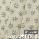 生地 布 入園入学 北欧風 ラミネート生地/幅104cm ≪ ディレック ≫ 【10cm単位販売】【女の子】【花】【北欧】【モダン】【ベージュ】フランスデザイナー生地 花柄 おしゃれ かわいい ビニールコーティング ビニコ