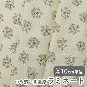 n z w k ~l[gn/104cm  fBbN  y10cmPʔ̔zy̎qzyԁzykzy_zyx[WztXfUCi[n ԕ  킢 rj[