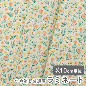 y݌ɌOUTLETzn z w k ~l[gn/106cm  xW^  y10cmPʔ̔zy̎qzyԁzykzy_zyFztXfUCi[n ԕ ve