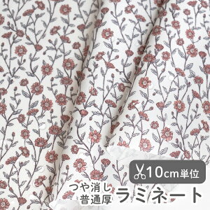 n z w k ~l[gn/105cm  IWK[f  y̎qzyԁzyi`zyre[WzyItzCgztXfUCi[n ԕ t[ flower 