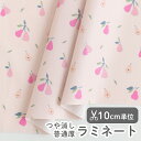 ▼▼▼▼▼【在庫限りOUTLET】生地 布 入園入学 北欧風 ラミネート生地/幅105cm ≪ ピンクペアー ≫ 【10cm単位販売】【女の子】【果物】【ナチュラル】【ポップ】【ピンク】フランスデザイナー 洋梨 洋ナシ 洋なし かわいい 韓国 ビニールコーティング ビニコ