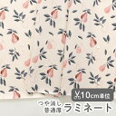 ▼▼▼▼▼【在庫限りOUTLET】生地 布 入園入学 北欧風 ラミネート生地/幅104cm ≪ ナチュラルペアー ≫ 【10cm単位販売】【女の子】【葉】【果物】【食物】【北欧】フランスデザイナー生地 フルーツ 洋ナシ ナチュラル おしゃれ かわいい 韓国 ビニールコーティング ビニコ