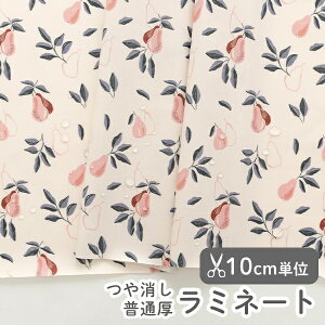 y݌ɌOUTLETzn z w k ~l[gn/104cm  i`yA[  y10cmPʔ̔zy̎qzytzyʕzyHzykztXfUCi[n t