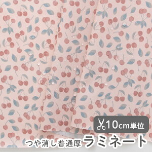n z w k ~l[gn/104cm  LfB[`F[  y10cmPʔ̔zy̎qzyʕzyx[VbNzyK[[zysNztXfUCi[n 