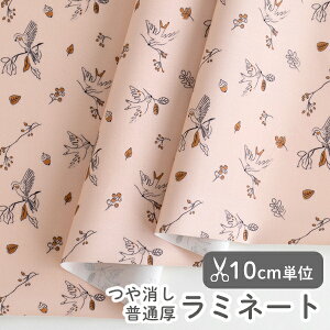 y݌ɌOUTLETzn z w k ~l[gn/104cm  Ƃǂ񂮂  yj̎qzy̎qzyzyʕzyi`zy_zyztXfUCi