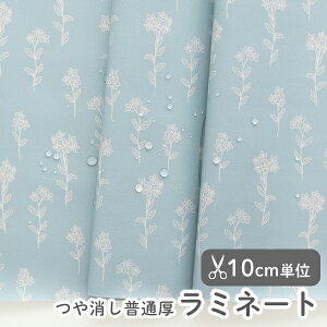 n z w k ~l[gn/104cm  u[q  y10cmPʔ̔zy̎qzyԁzy_zyx[VbNzyztXfUCi[n ԕ u[ blue q hill [
