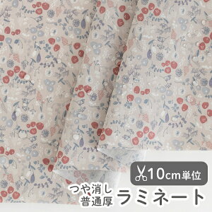 n z w k ~l[gn/105cm  ubT{^jJ  y10cmPʔ̔zy̎qzyԁzytzykzyre[Wzy΁zyO[zfUCi[n naocom ԕ 