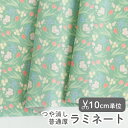 生地 布 入園入学 北欧風 ラミネート生地/幅105cm ≪ スプリングスワロー ≫ 【10cm単位販売】【女の子】【花】【北欧】【ポップ】【緑】デザイナー生地 watanao 花柄 さくら チューリップ ツバメ つばめ 春 かわいい 韓国 ビニールコーティング