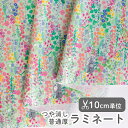 生地 布 入園入学 北欧風 ラミネート生地/幅104cm ≪ ファインディングラビット ≫ 【10cm単位販売】【女の子】【花】【動物】【北欧】【ポップ】【緑】デザイナー生地 キエピノコ kiepinoko 花柄 動物柄 華やか うさぎ かわいい ビニコ
