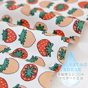 100以上 果物 イラスト 簡単 トイレ マナー イラスト