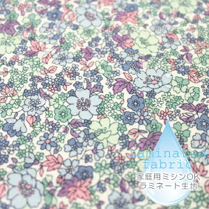 n z w k ~l[gn/103cm  FORGET ME NOT - blue  肴TTE y10cmPʔ̔zycΉzy̎qzyԁzyi`zyK[[zyz