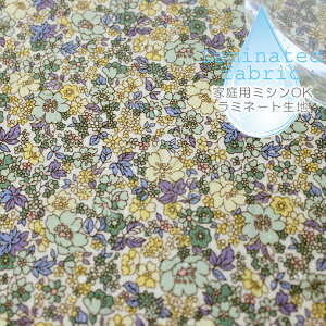 n z w k ~l[gn/103cm  FORGET ME NOT - yellow  肴TTE y10cmPʔ̔zycΉzy̎qzyԁzyi`zyK[[zy