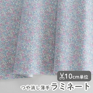 n z w k //炩~l[gn/105cm  ^Cj[t[ tF[h  y10cmPʔ̔zy̎qzyԁzyFzԕ oeB fRNVYI
