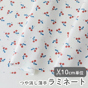 n z w k //炩~l[gn/105cm  `F[[Og  y10cmPʔ̔zy̎qzyʕzykzyzCgz  킢 