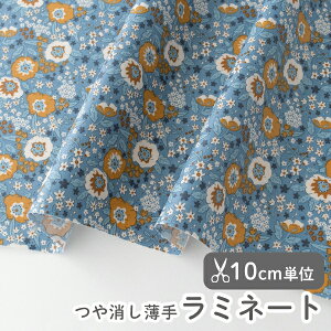 y݌ɌOUTLETzn z w k //炩~l[gn/107cm  oj[Y   y10cmPʔ̔zy̎qzyԁzyre[Wzykzyzt