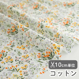 n z w k Rbg/110cm  UCNt[  y10cmPʔ̔zy̎qzyԁzyi`zykzyzԕ ԕ  킢 ؍